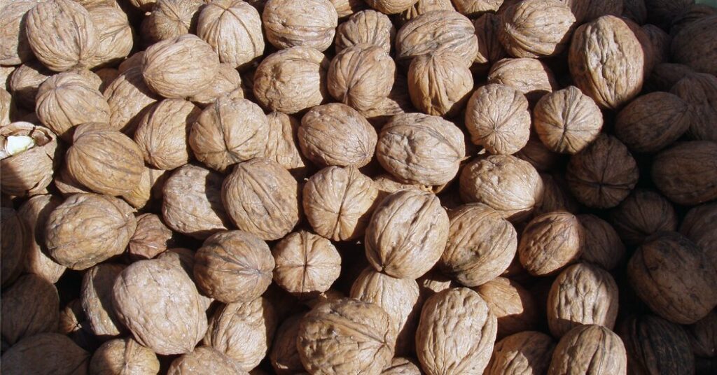 walnuts-recalled-from-natural-food-stores-after-e.-coli-outbreak